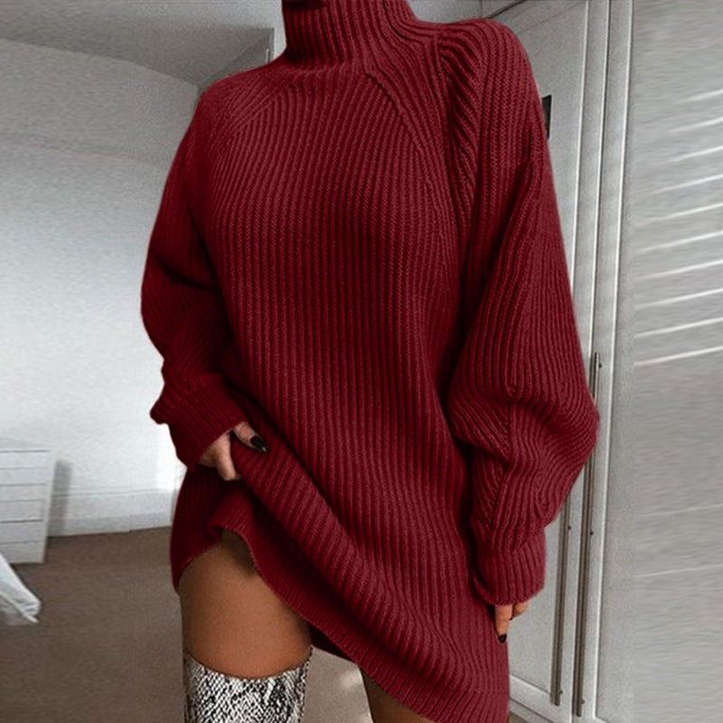 Robe pull col roulé - détail matière